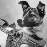 Screenshot 2025-07-14 at 12.44.49