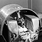 Screenshot 2025-07-14 at 12.44.57