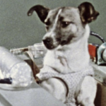 Screenshot 2025-07-14 at 12.45.16