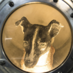 Screenshot 2025-07-14 at 12.46.21